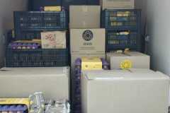 IMG-20221225-WA0029