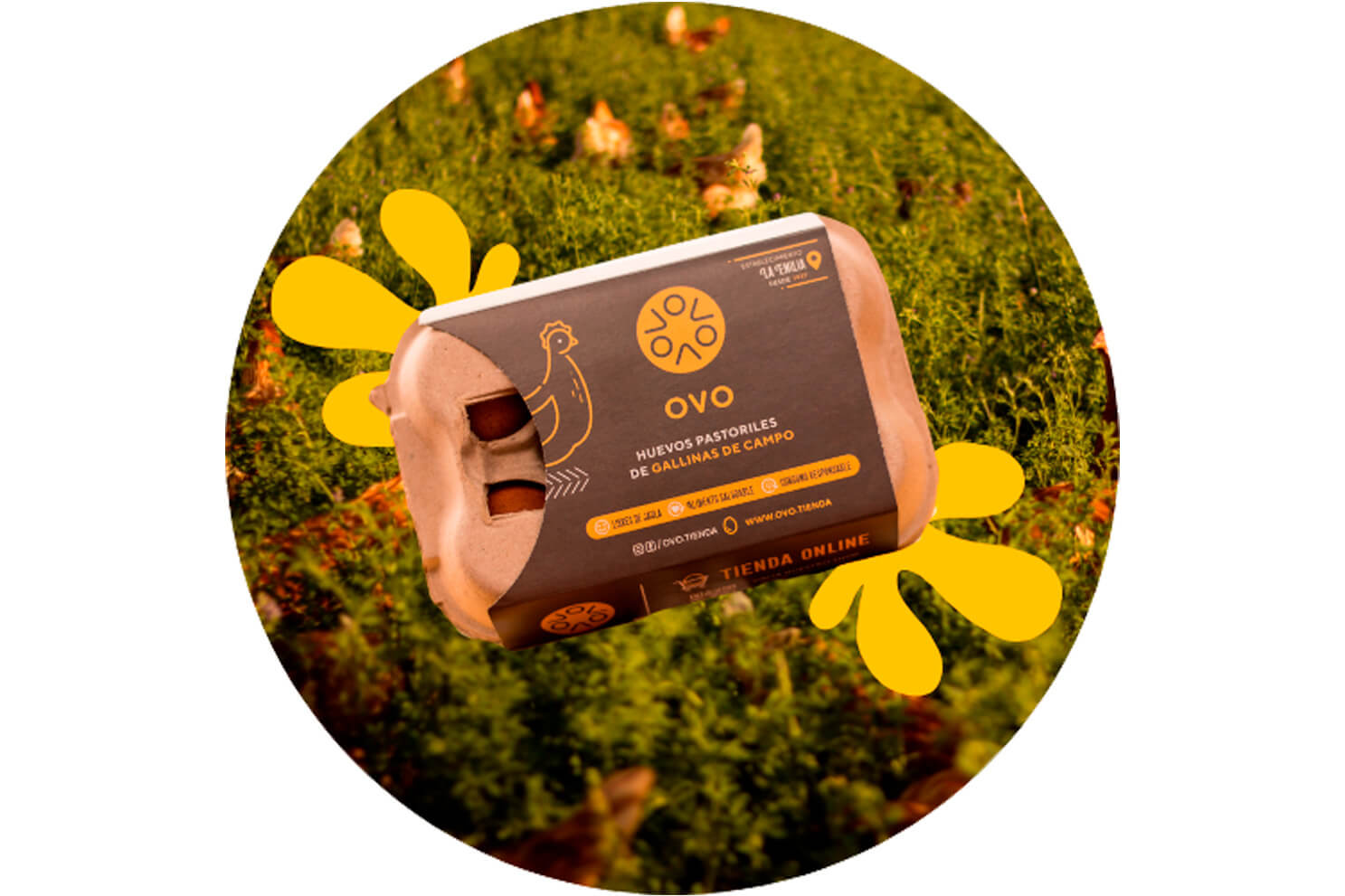 OVO Productos estuche 1